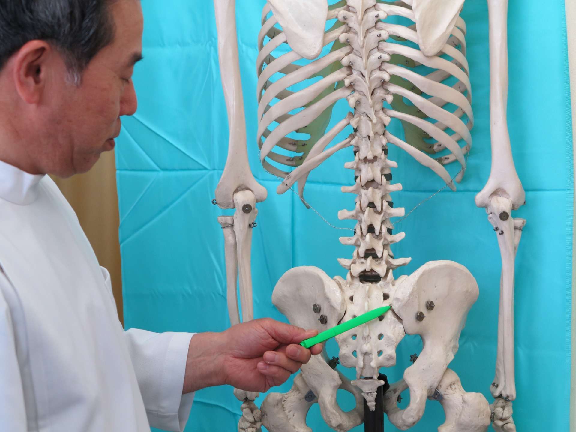 唐津市　整体、カイロプラクティックは背骨の歪み、その他の骨格の歪みを正すことで腰痛、坐骨神経の改善を図る