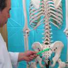 唐津市　整体、カイロプラクティックは背骨の歪み、その他の骨格の歪みを正すことで腰痛、坐骨神経の改善を図る